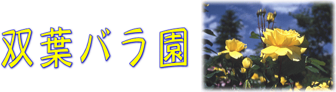 oto